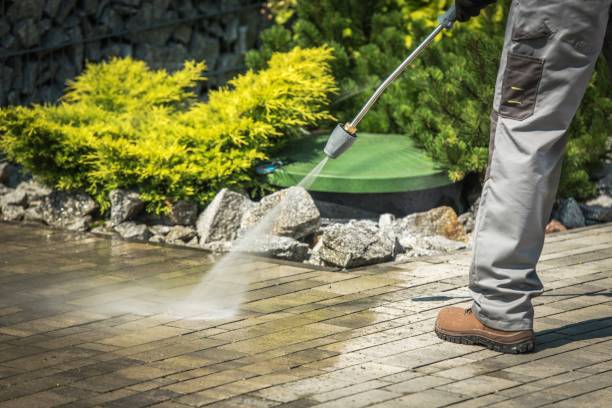 Pre-Holiday Cleaning in Downey, CA